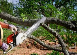 Best Lot and Land Clearing  in Riverdale, CA